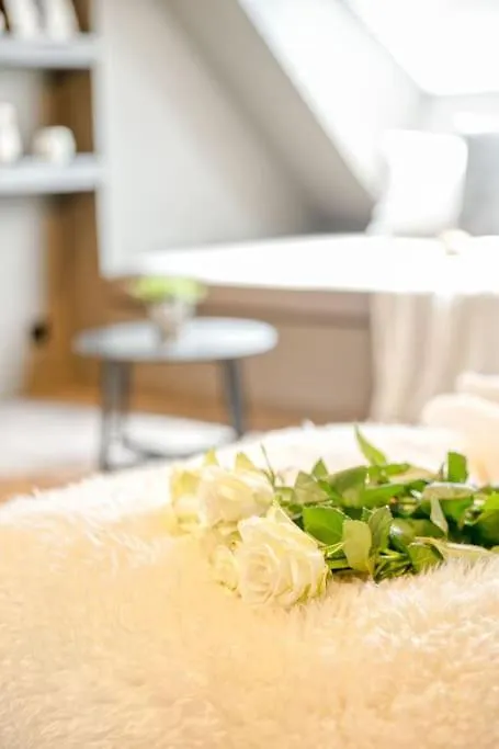 شقة Charming Attic Retreat In Historic Ghent Center