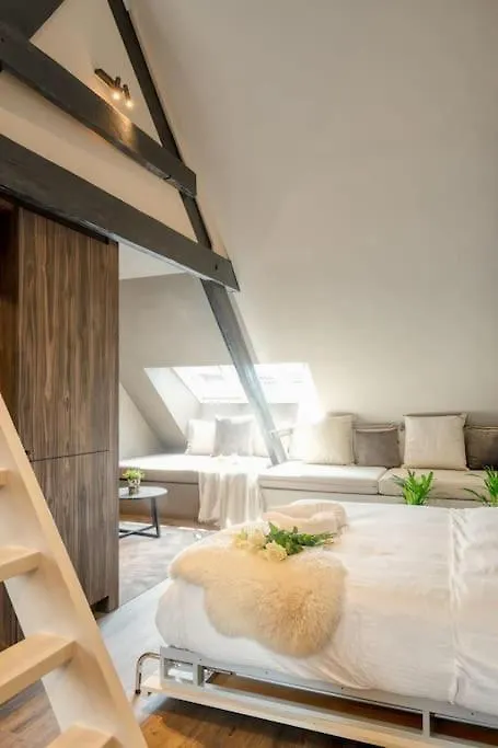 Charming Attic Retreat In Historic Ghent Center Apartment